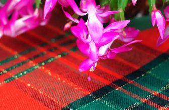 Christmas Tablecloth
