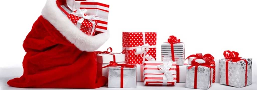 Christmas Gift Bag