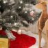 Christmas Tree Stand