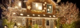 Outdoor Christmas Lights